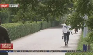 开云体育 -关于西甲今晨再迎强敌，法兰克福回应争议，主帅态度——信心回归，心理建设被强调的信息